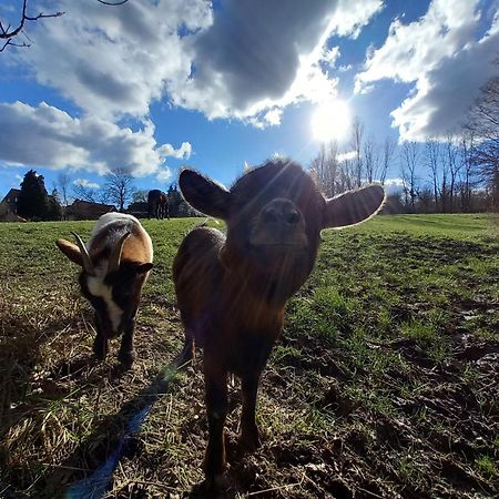 Les Hauts De Meez Dinant Eksteriør bilde