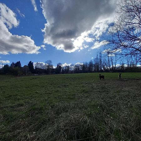 Les Hauts De Meez Dinant Eksteriør bilde